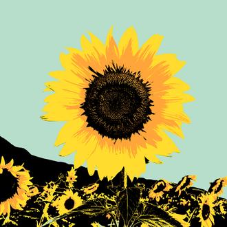 Pop Art Sunflower Ⅰ
