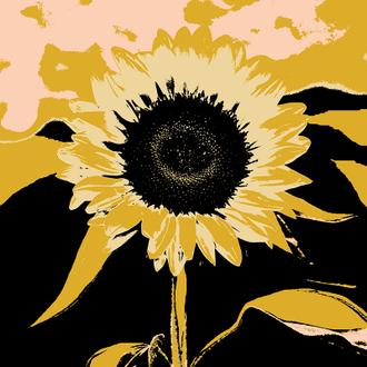 Pop Art Sunflower Ⅳ