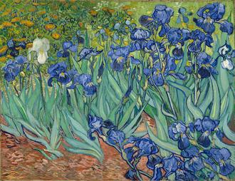 Irises, 1889
