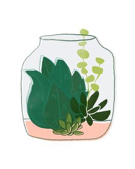 Terrarium Cameo Ⅱ