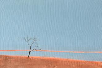 Last Rays of the Sun