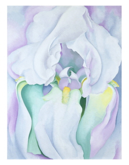 White Iris,1930