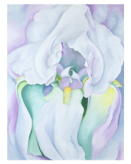 White Iris,1930