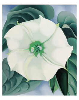 Jimson Weed-White Flower No.1. 1932