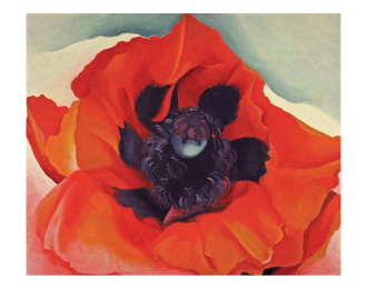 Red Poppy, 1928
