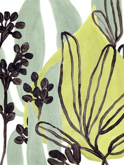 Tropical Collage Ⅰ