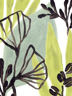 Tropical Collage Ⅱ