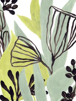 Tropical Collage Ⅵ