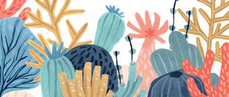 Paper Reef Collection D