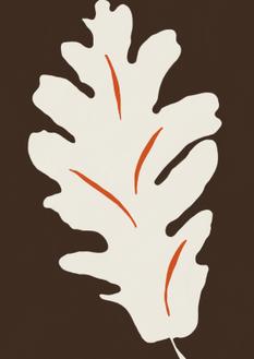 Oak Leaf