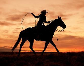 Cowgirl Silhouette