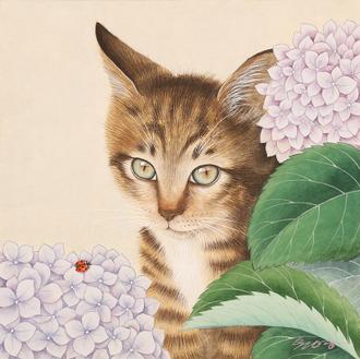 꽃보다 고양이 Ⅱ