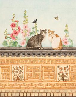 돌담 위의 어느날