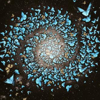 Butterfly Galaxy