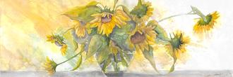 Sun Kissed Sunflowers