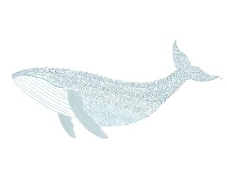 Swirly Whale