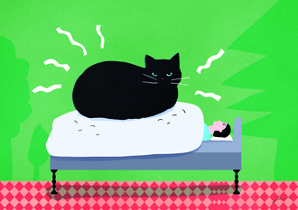 Sleeping With My Little Kitten