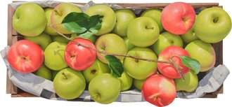 녹색 위의 붉은 사과