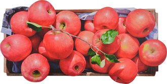 행복한 사과, 행복한 사람들