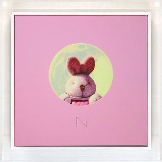 Rabbit in the Moon-Pink