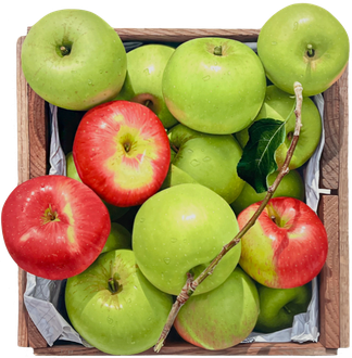 녹색 위에 붉은 사과