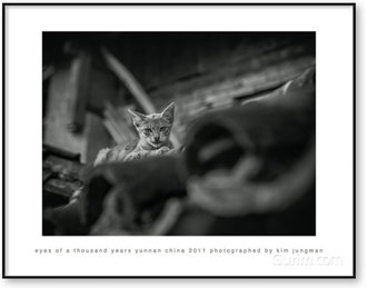 Eyes of a Thousand Years (Yunnan China 2011)