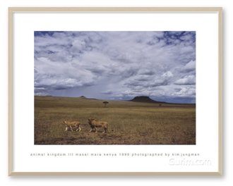 Animal Kingdom Ⅲ (Masai Mara Kenya 1999)