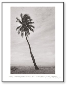 Lonley Palmtree (Pattaya Thailand 2017)