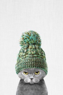 Kitten Wearing a Hat (스타트업 협찬그림)