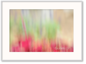 빛과 색의 향연 II