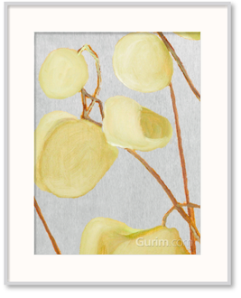 Milkweed on Pale Gray