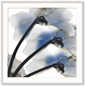 Indigo Luster Cyclamen