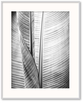 Metal BW Plant I