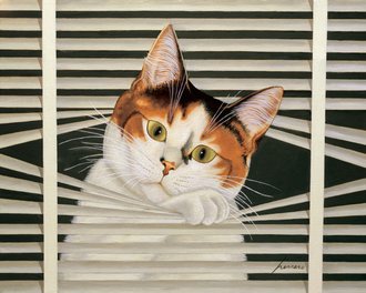 Sassy Lara (스타트업 협찬그림)