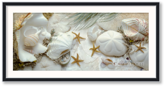 Island Tide Pool No. 5